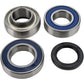 All Balls Chain Case Bearing and Seal Kit 14-1043
