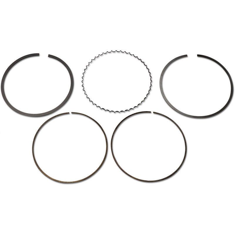 Athena Piston Ring Set S41316062 | Rings Only