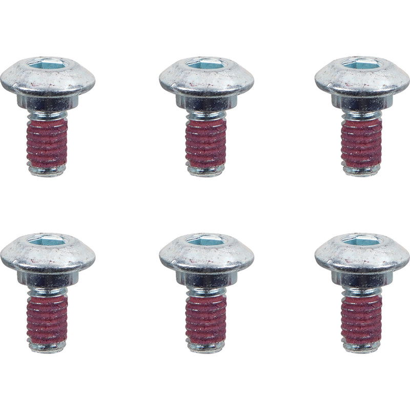 MOTO-MASTER Bolts - Rotor - M6 x 13 12011-PU