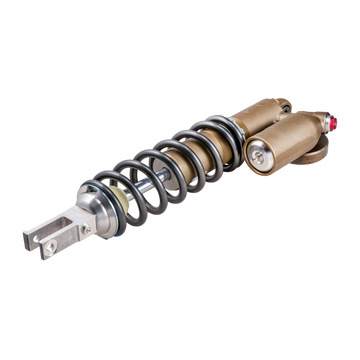 SHOCK ABSORBER 250/300 2ST SE