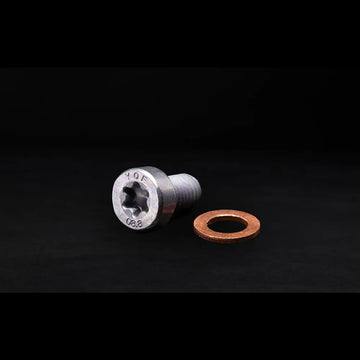 Gear Oil Level Bolt