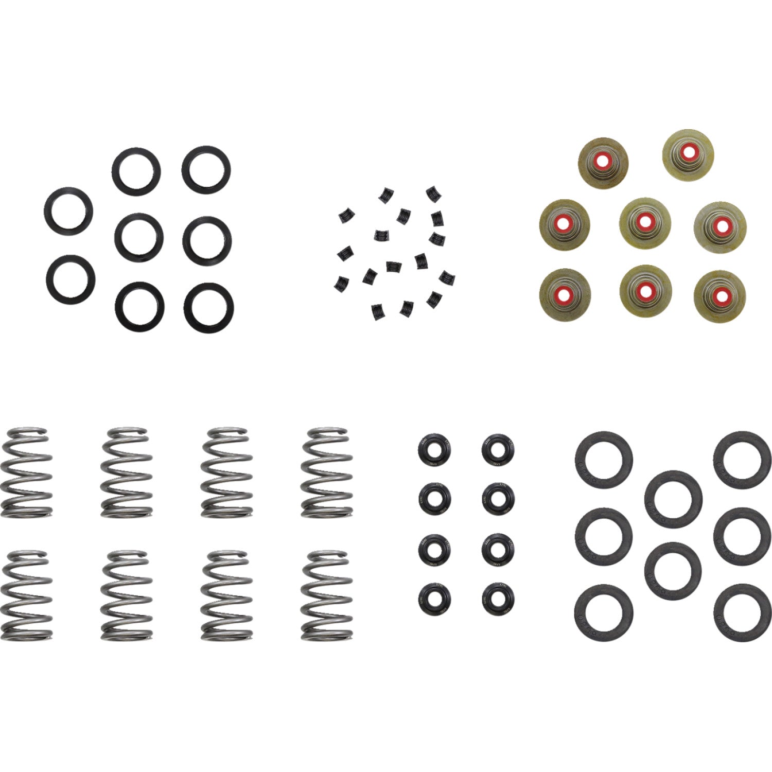 Kibblewhite Beehive Shim Spring Kit 20-23950 | Valves & Parts | Kibblewhite