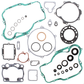 Complete Gasket Set With Oil Seals