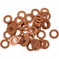 BOLT Drain Plug Washers - M8 CPRM8.15-50