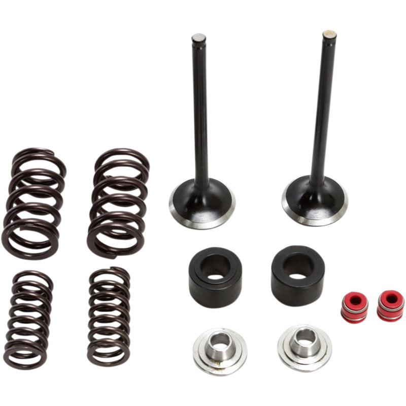 Moose Racing Valve and Spring Kit M30-32450
