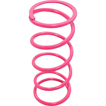 Dynojet Primary Clutch Spring - Hot Pink - Maverick X3 DCS-3CP | Clutch Plates & Springs