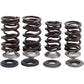 Kibblewhite Spring Kit 30-31600 | Valves & Parts | Kibblewhite