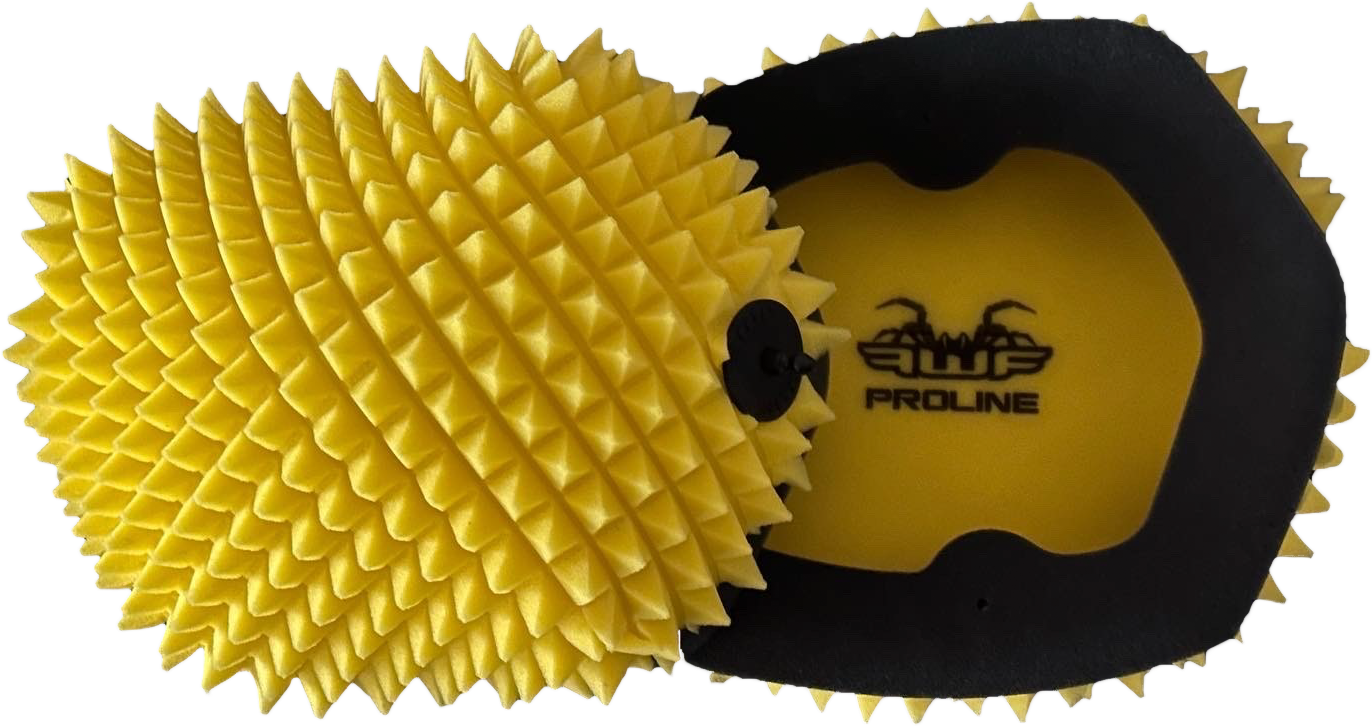 Air Filter Proline