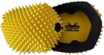 Air Filter Proline