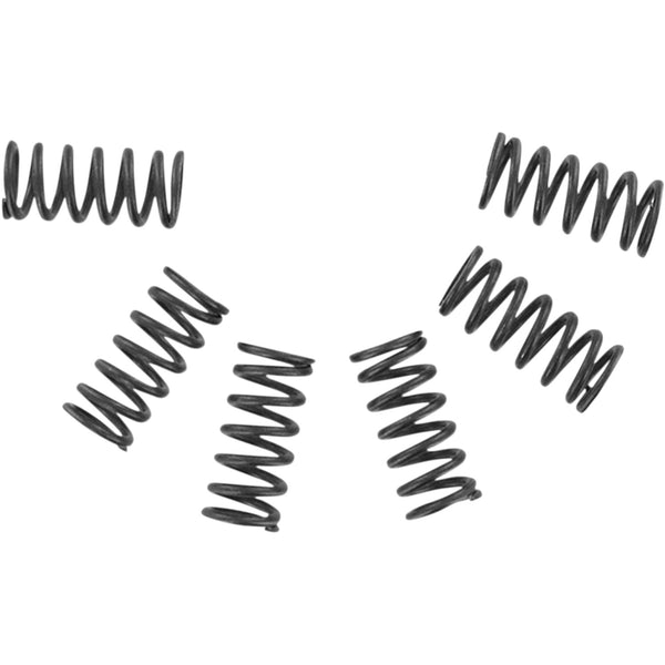 EBC Clutch Springs CSK2