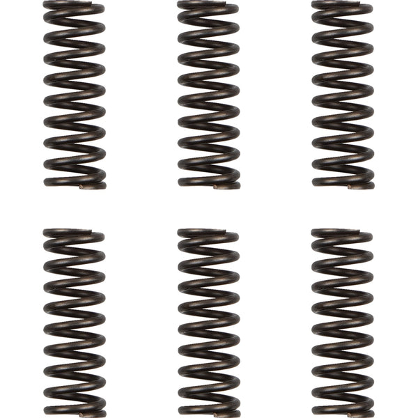 Moose Racing Clutch Springs - WR/YZ 450F HDS-156-6