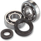 Moose Racing Crank Bearings and Seals - Kawasaki/Suzuki 24-1081