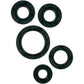 Moose Racing Motor Seals 822138MSE