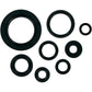 Moose Racing Motor Seals - Honda 822110MSE