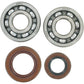 Hot Rods Crankshaft Bearings - Gas Gas/Husqvarna/KTM K064