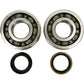 Hot Rods Crankshaft Bearings - Suzuki K057