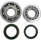 Hot Rods Crankshaft Bearings - Honda K063