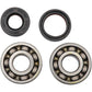 Hot Rods Crankshaft Bearings - Kawasaki K235