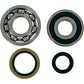 Hot Rods Crankshaft Bearings - Suzuki K231