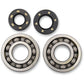 Hot Rods Crankshaft Bearings - Kawasaki K005