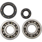 Hot Rods Crankshaft Bearings - Honda K003
