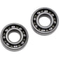 Hot Rods Counter Balancer Bearing Kit - Polaris HR00011