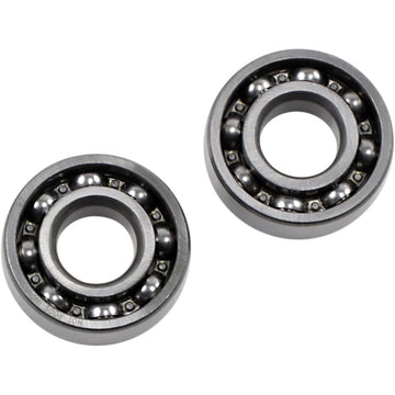 Hot Rods Counter Balancer Bearing Kit - Polaris HR00011