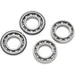 Hot Rods Counter Balancer Bearing Kit - Polaris BBK0031
