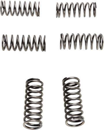 EBC Clutch Springs - 6 pcs. CSK198