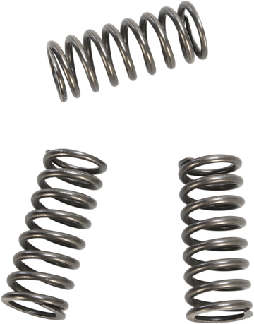 EBC Clutch Springs CSK218