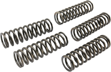 EBC Clutch Springs CSK223