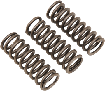 EBC Clutch Springs - 3 pack CSK242