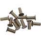 Eastern Motorcycle Parts Ratchet Plate Rivets A-8216