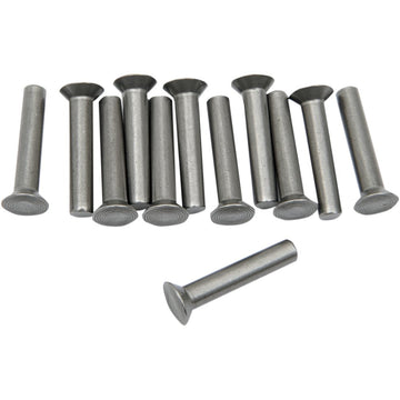 Eastern Motorcycle Parts Ratchet Plate Rivets A-8215