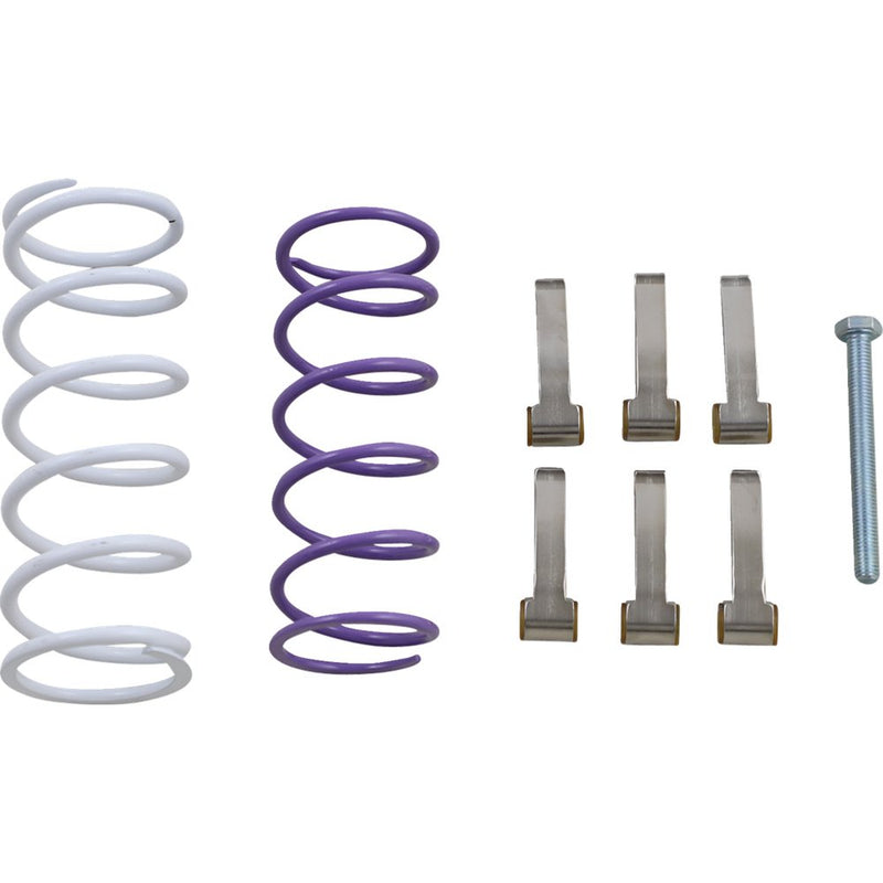 EPI Clutch Kit WE437660