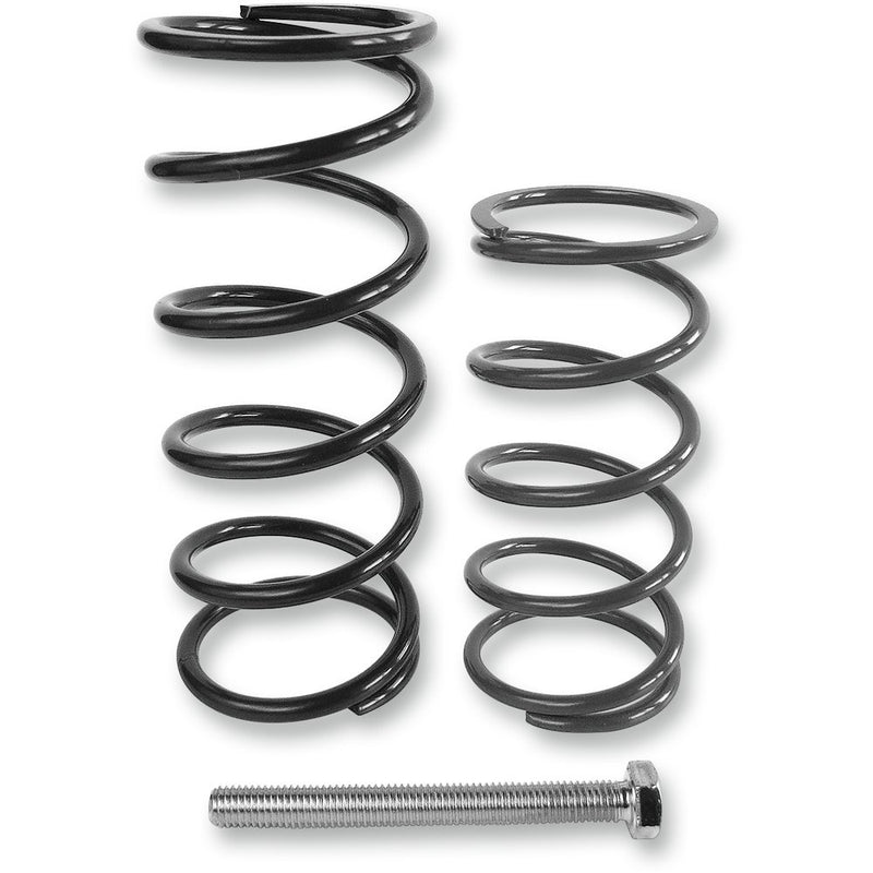 EPI Economy Clutch Kit WE397430