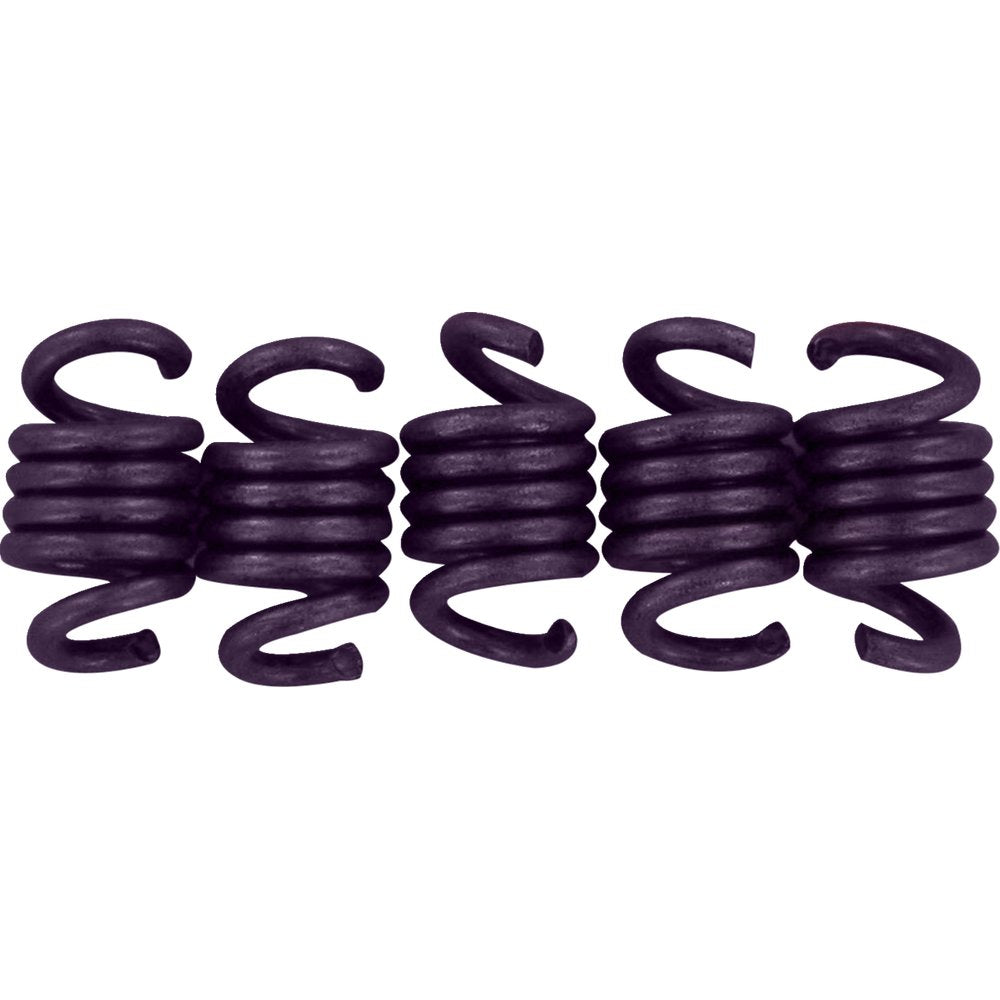 EPI Economy Clutch Kit - TRX300 WE497040