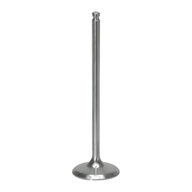 Xceldyne Intake Valve XIVM33001