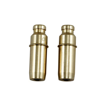 Xceldyne Valve Guide Kit - Exhaust - Honda CVGM13001