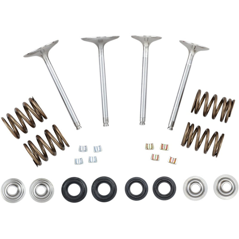 Xceldyne Complete Valve Kit X2VMK33001
