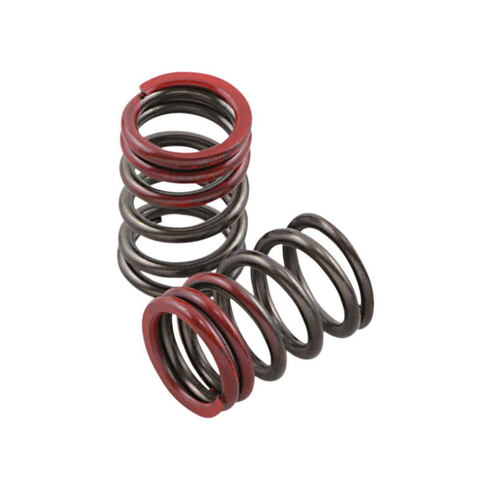 Xceldyne Valve Springs - Exhaust - Kawasaki | Suzuki PSIMX2404