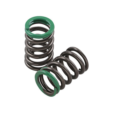 Xceldyne Valve Springs - Intake - Honda PSIMX2402