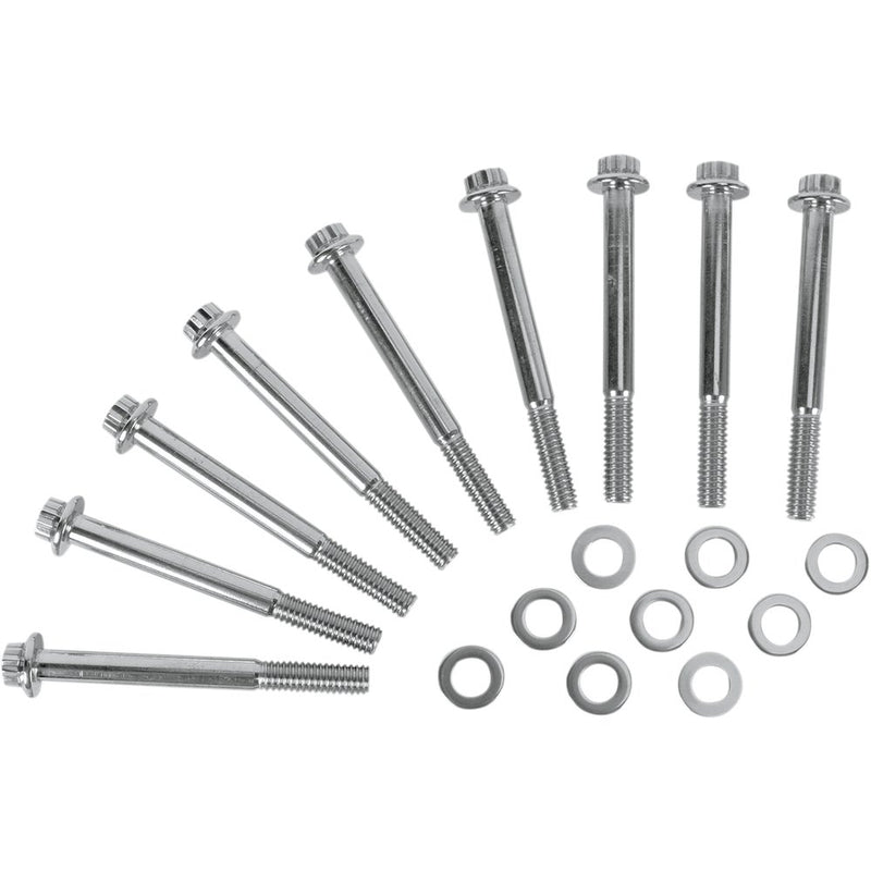 Diamond Engineering Bolt Kit - Crankcase - 12-Point PB516S