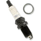 Autolite Spark Plug - #3922 3922