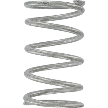 Comet Clutch Spring - Silver 204818A
