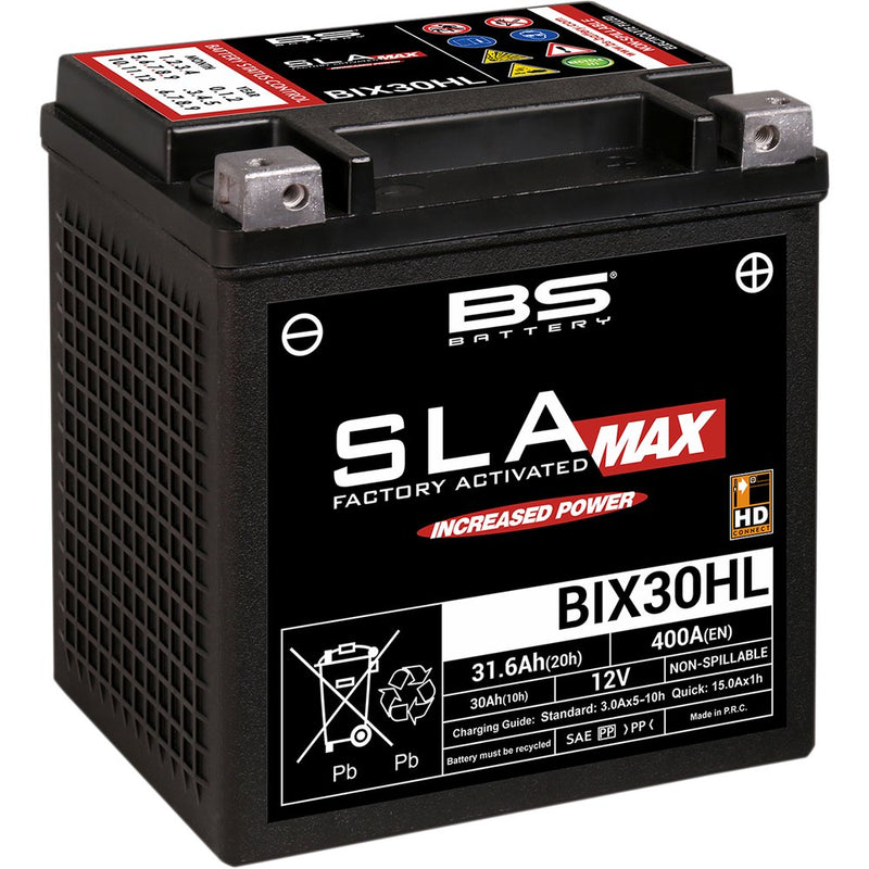BS Battery Battery - BIX30HL (YIX) 300884