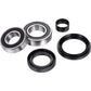 Factory Links Wheel Bearing Kit - Front Left/Right - '05-'13 TRX 420/500 TE/TM AFW-H-010