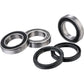 Factory Links Wheel Bearing Kit - Rear - Yamaha PW50 RWK-Y-215