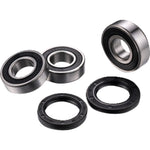 Factory Links Wheel Bearing Kit - Rear - Suzuki DR-Z 400 RWK-S-161