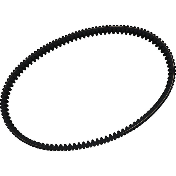 Dayco LLC Drive Belt RPX5020